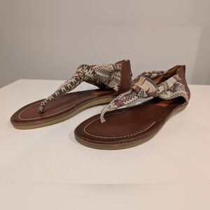 Rocket Dog Gladiator Sandals